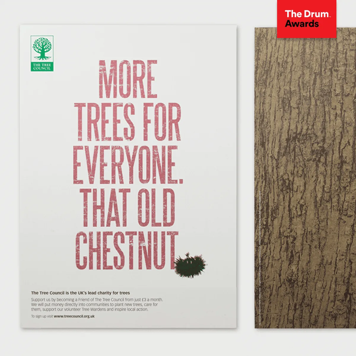 More Trees Everywhere · Tree Council